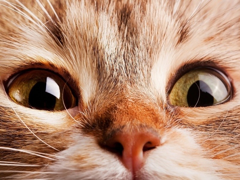 Две свечи...