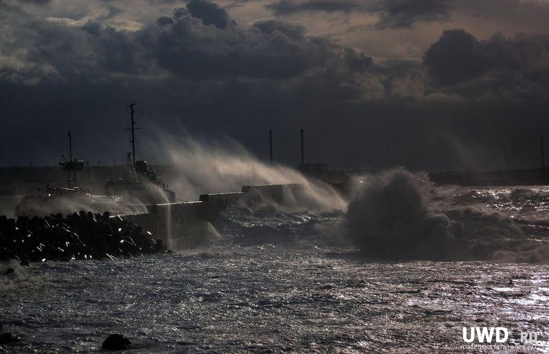 Подражая Буревестнику. Гнев погибелью пылает