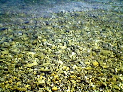 Без всякой суеты...