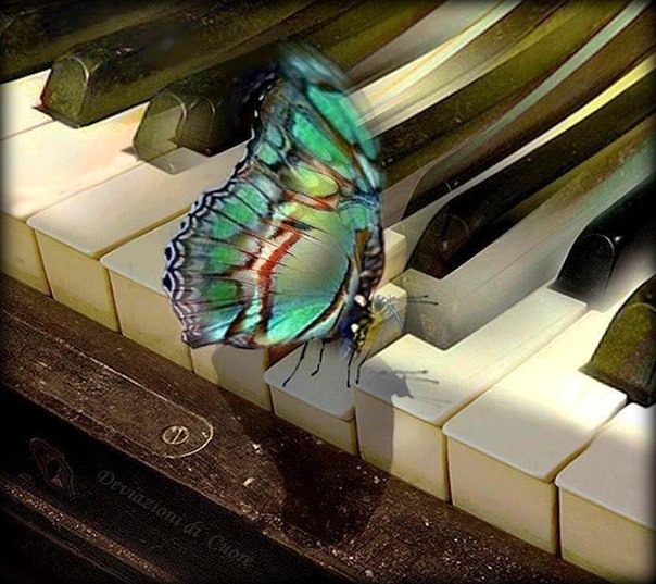 Днем одна, ну а ночью другая