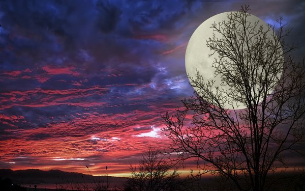 Льётся луны свет