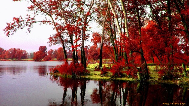 Березонька (Татьяна Марк) / Стихи.ру