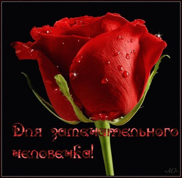 волшебница (Анастаси Толмачёва) / Стихи.ру