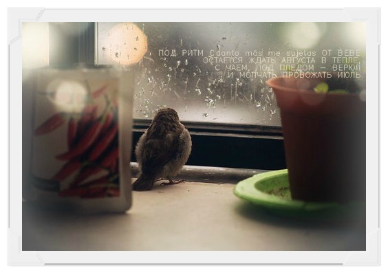 Последний вечер июля