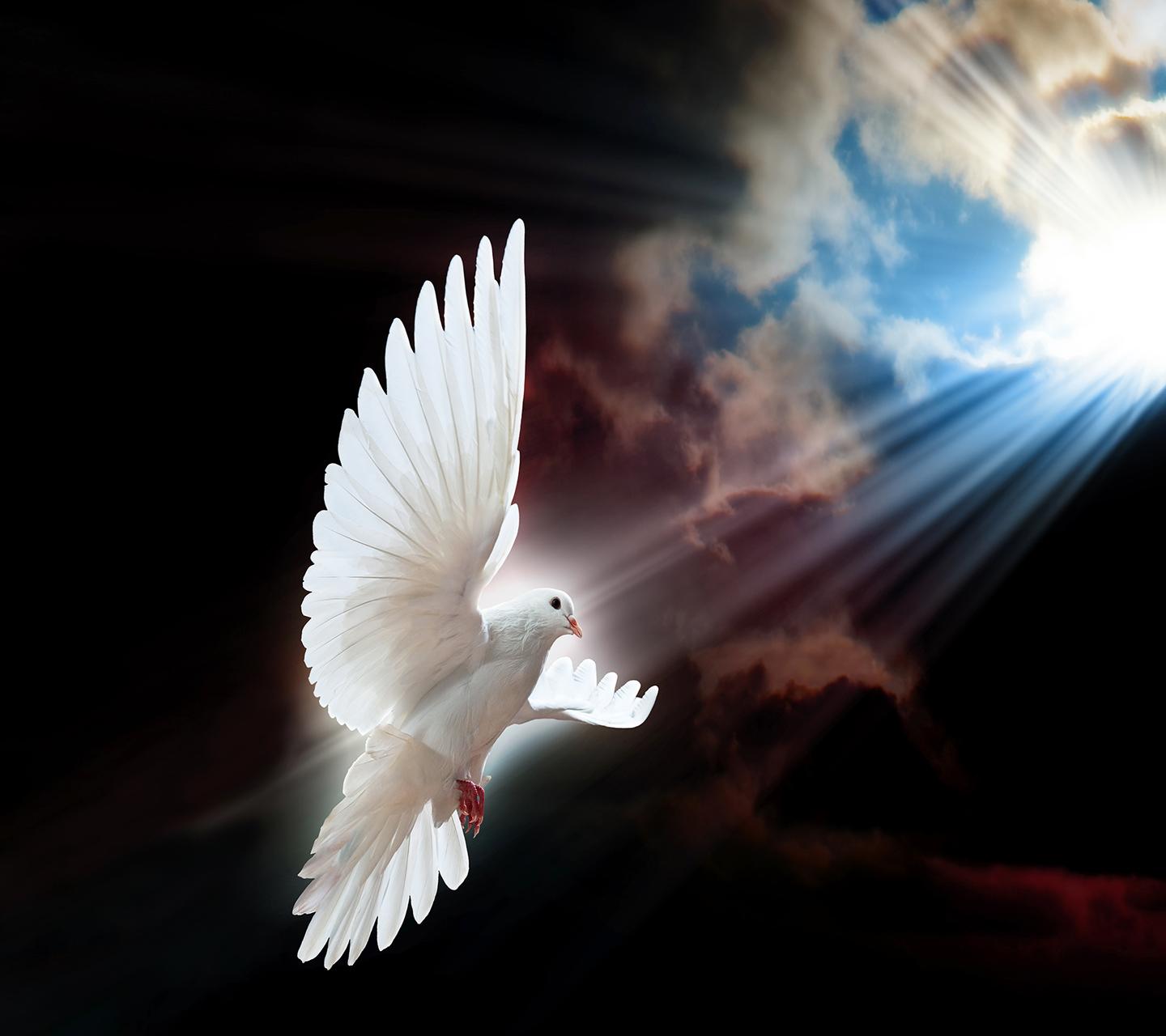 Почему так спокойна душа?