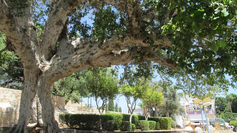 Скудности...