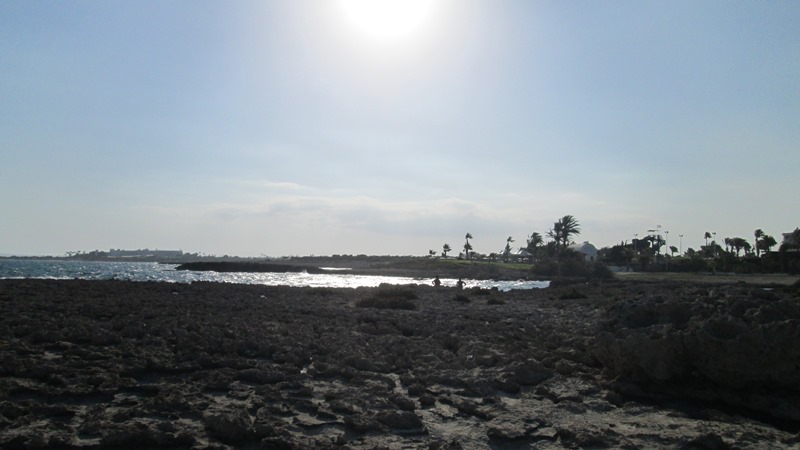 Меня солнце выжгло...