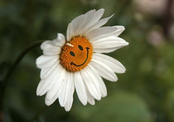 От того, что влюблена...