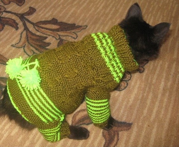 вязание на собак