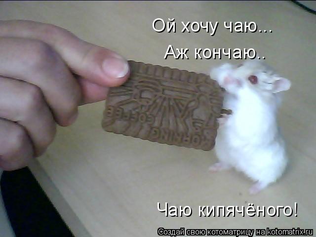 Хочешь чаю уже наливаю дед мем