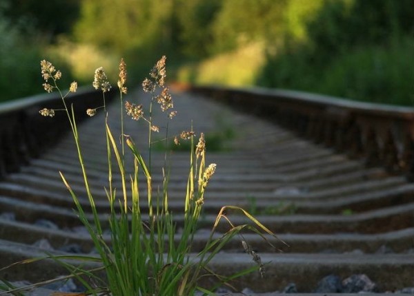 Полустанок...