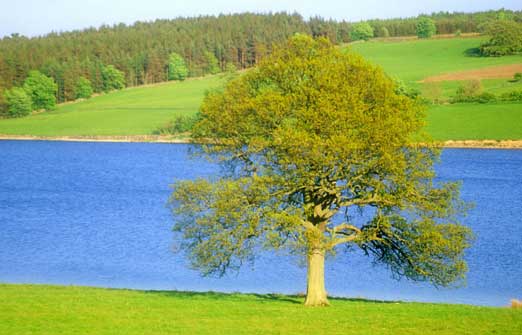 Когда смотрю