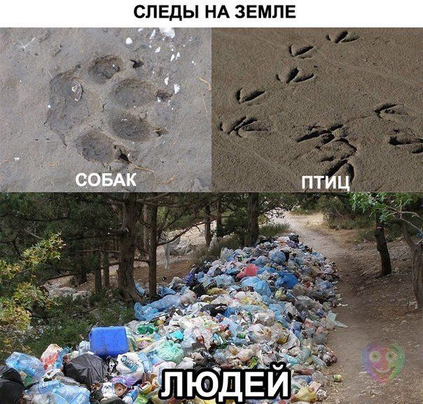 Где ступает нога человека...
