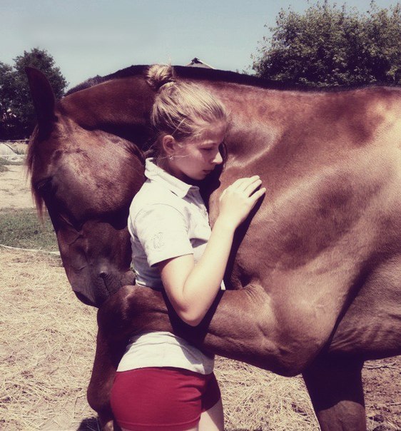 Я конь верховой! Году Лошади