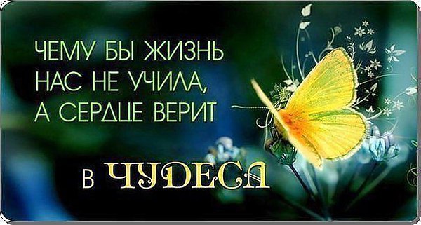 Путешествие в юность