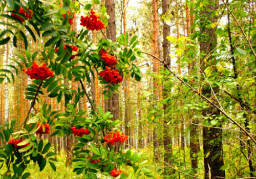 Кто назвал её унылой?