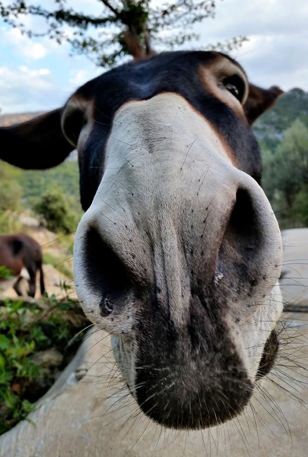 Тёплый приветик от нас