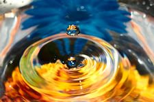 Живое мёртвое