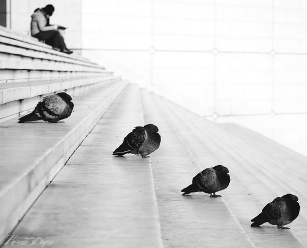 Смысл жизни