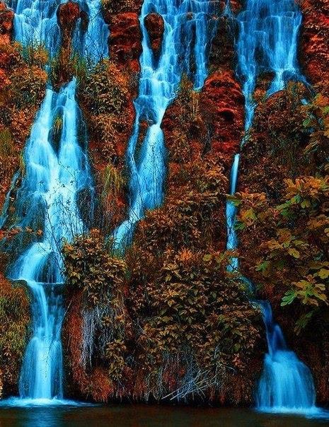 Мокрый трибунал