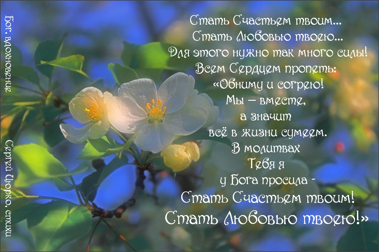 Солнце и весна картинки