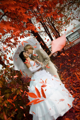 Милая Ласточка - Осенние танцы