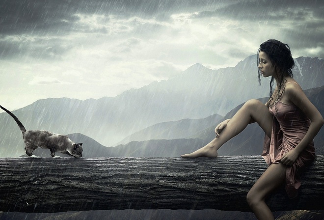 А у нас дожди сплошным потоком