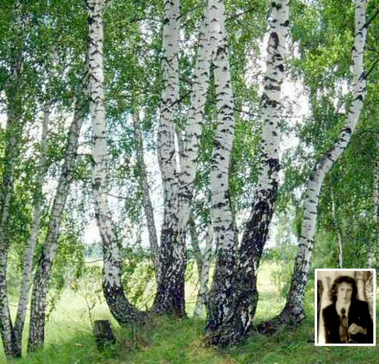 Родина моя...