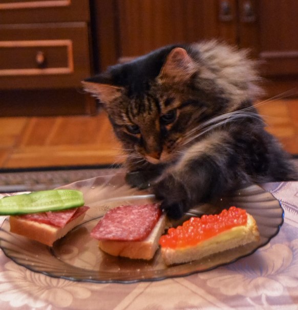 Завтрак я приготовила себе...