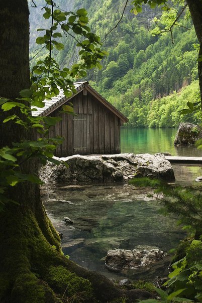 Пусть говорят...