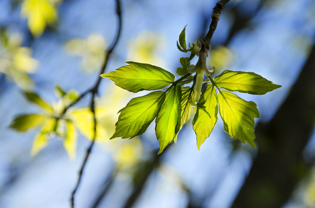 Август - обитель холодных рассветов...