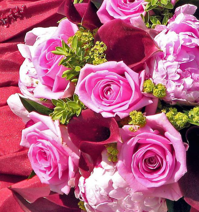 Не верьте радостной улыбке