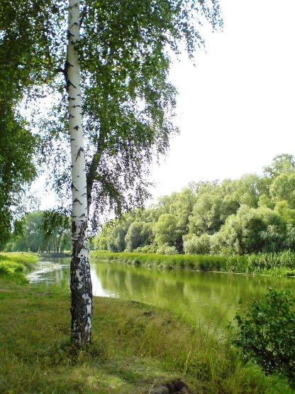 Он не умер совсем...