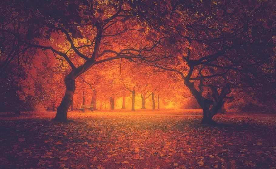 My own autumn