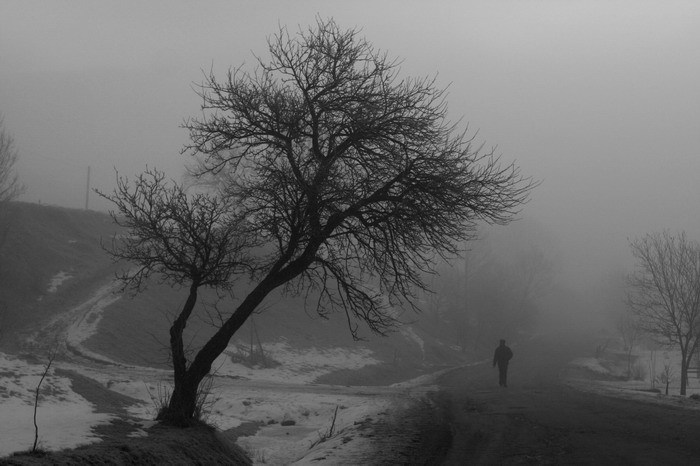 В пыли дорог