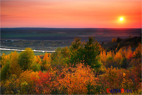 Листвою выстилается дорога