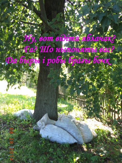 Как мы давно ни был