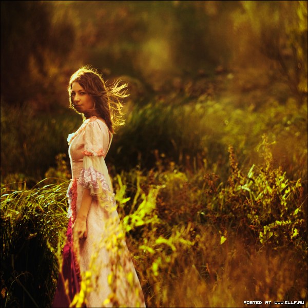 Твои руки мне не целовать...