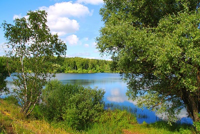 Надеюсь, верю, жду, люблю