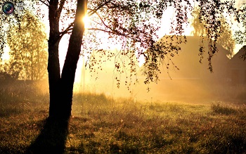 С нашим поклоном рассвету