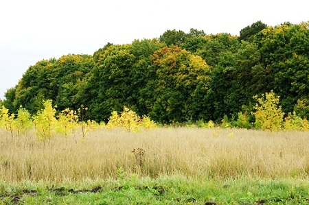 Время новых перемен