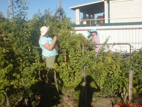 Поехали на дачу в воскресенье!