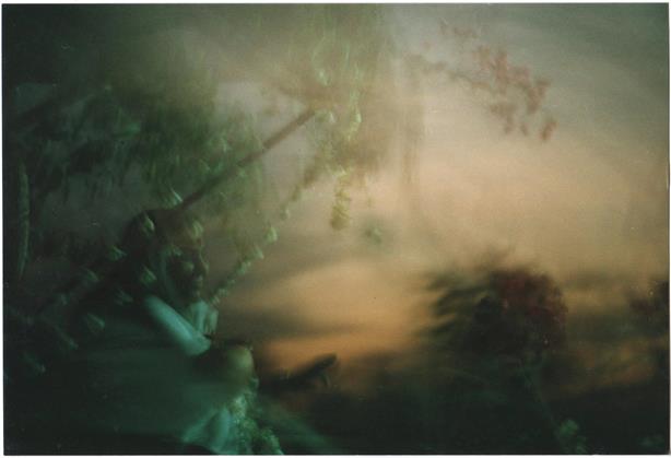 Богиня смотрит на Свои поля...