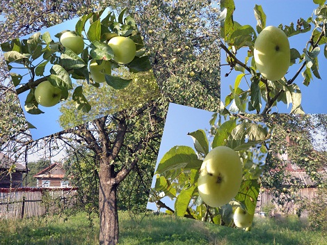 Гимн садам Валапас,