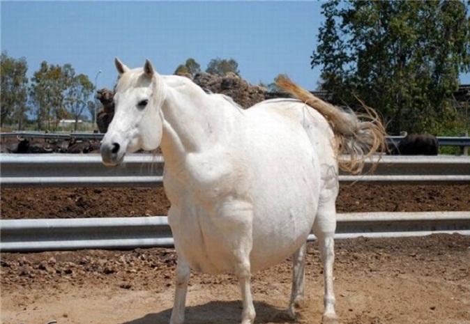 Как она сбоку на Гниду похожа!