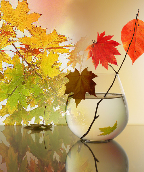 Осень- рыжая колдунья