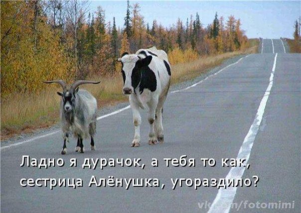 Иванушка маленький, дурачком был...