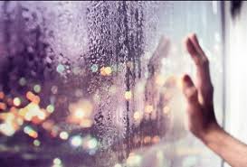 Перед зимой