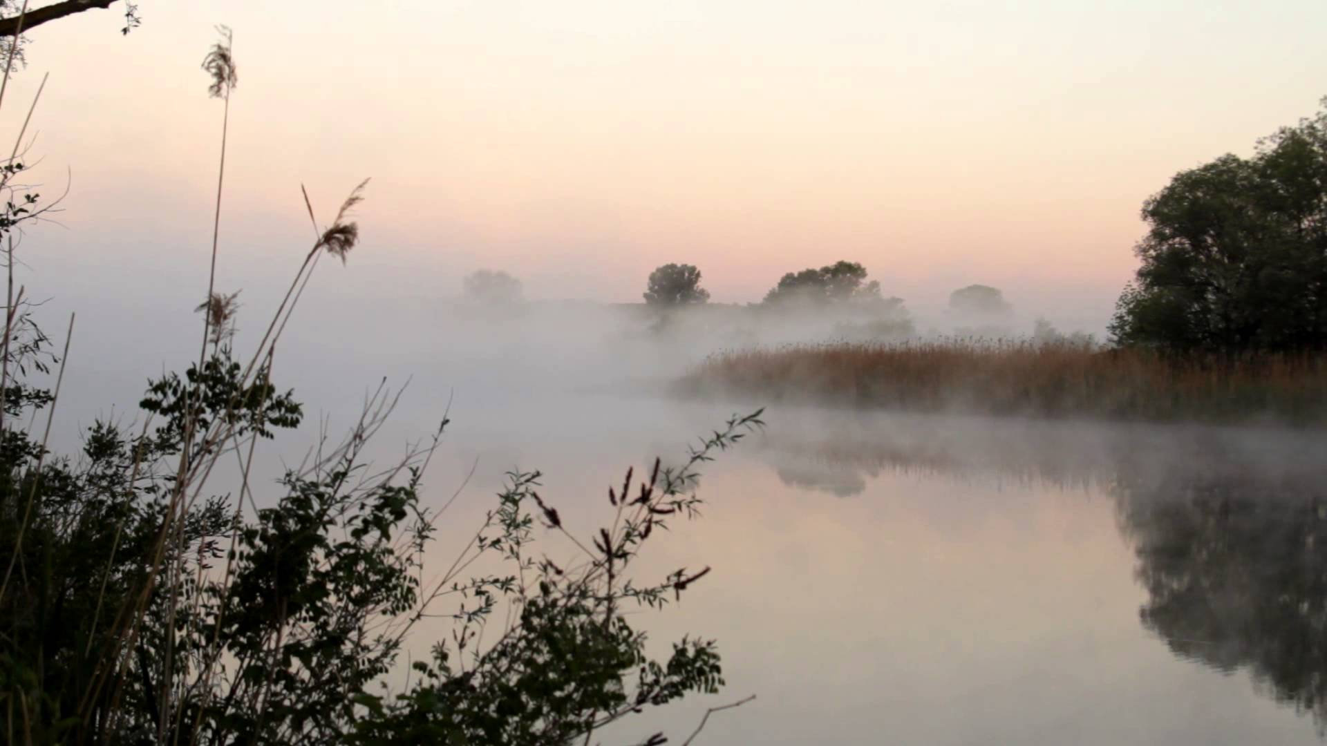 1 месяц в озере. Озеро Рахмановская Старица туман. Туманное утро. Туман на реке. Туман над рекой.