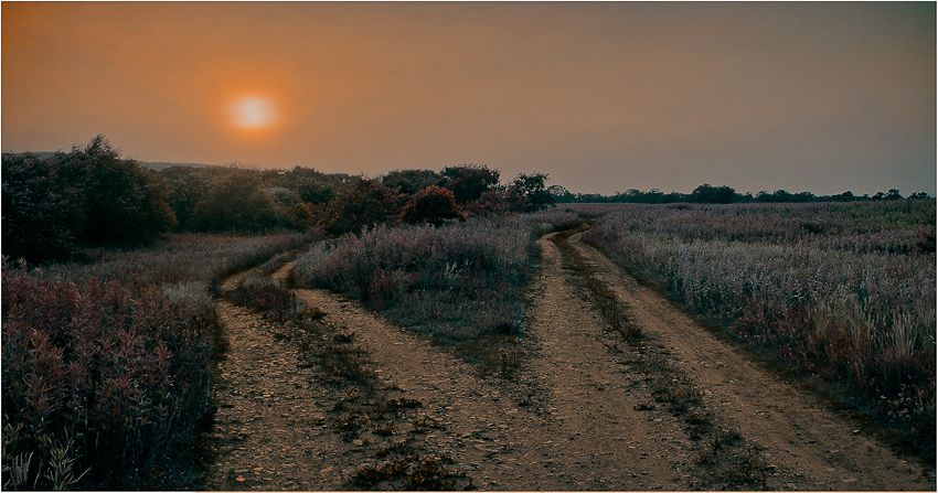 Забылись волненья, тревоги...